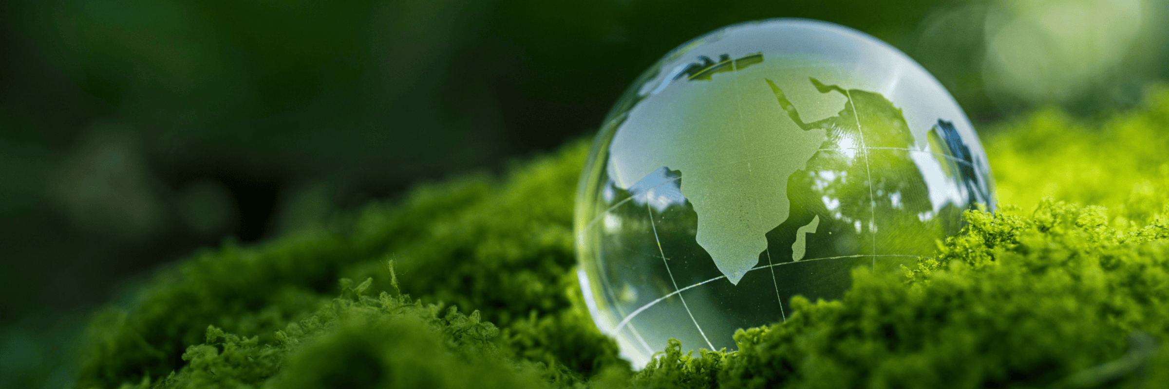 ESG HARMONIZATION:  INDIA’S BRSR VS. GLOBAL STANDARDS