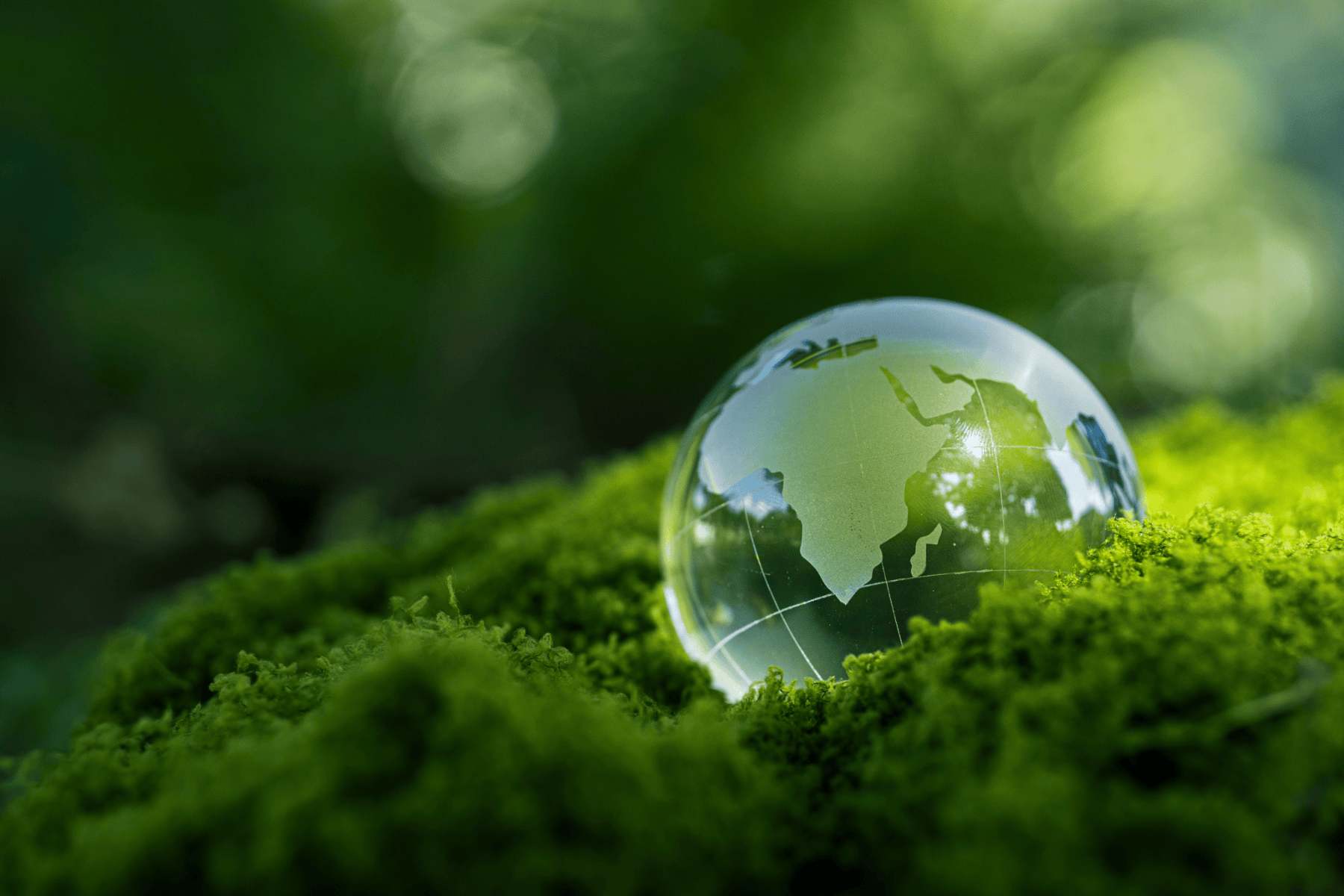 ESG HARMONIZATION: INDIA’S BRSR VS. GLOBAL STANDARDS
