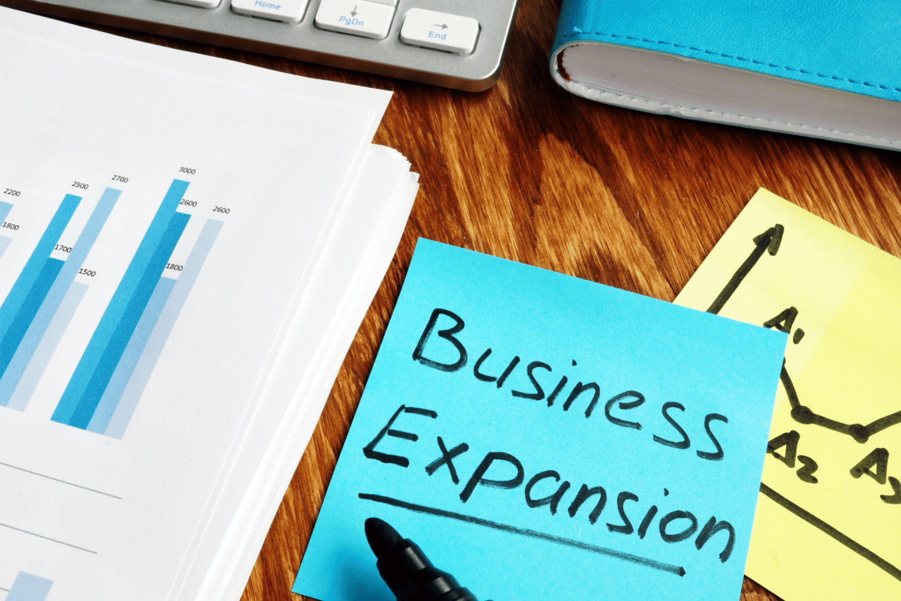 Why Are Global Entrepreneurs Choosing India for Business Expansion?